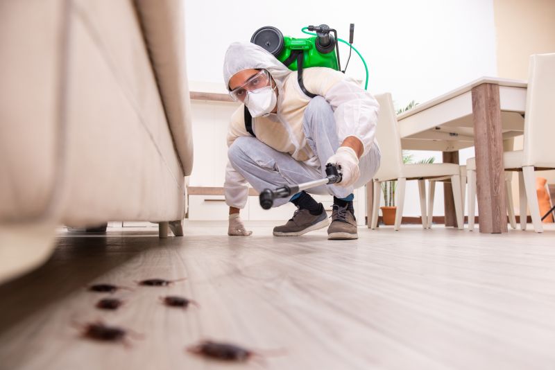 Safe Ant Pest Control Options For Homes With Children And Pets
