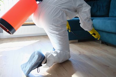 Spider Fumigation Service in Columbus, OH